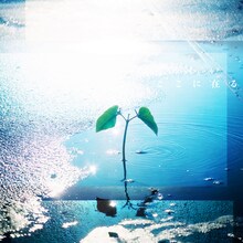 ソナーポケット「ここに在る」配信ジャケット