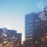 sorato「体温」ジャケット