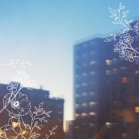 sorato「体温」ジャケット