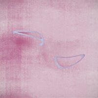 タロ「taro」ジャケット