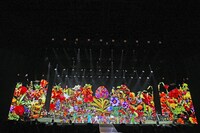 「YUZU ARENA TOUR 2024-2025 図鑑 Supported by NISSAN SAKURA」神奈川・横浜アリーナ公演の様子。©SENHA