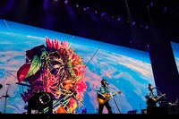 「YUZU ARENA TOUR 2024-2025 図鑑 Supported by NISSAN SAKURA」神奈川・横浜アリーナ公演の様子。©SENHA