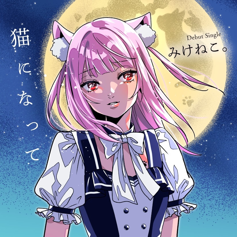 ☆ねこさん専用 Amazon.co.jp: 【獣医師監修】 Petpia 猫 トンネル 玩具