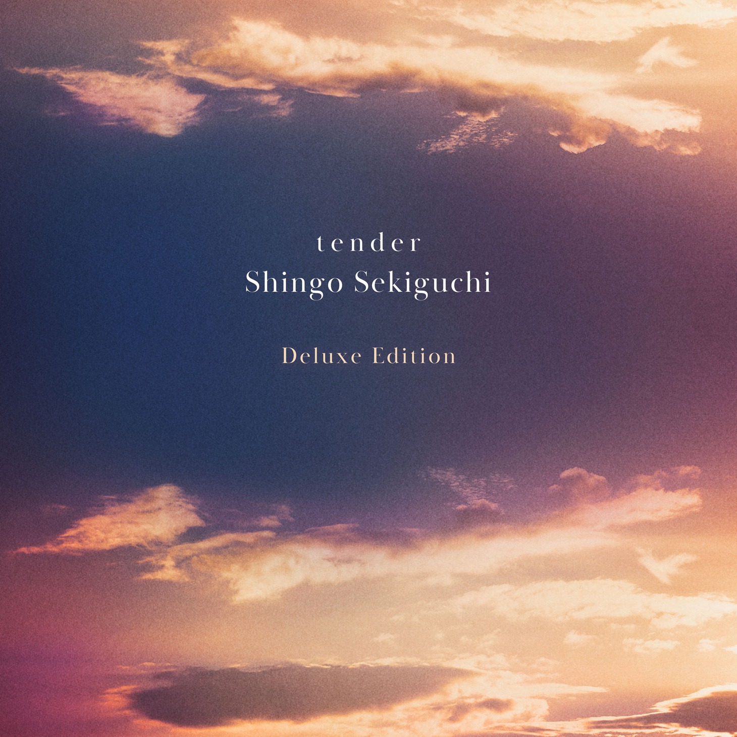 関口シンゴ「tender（Deluxe Edition）」ジャケット