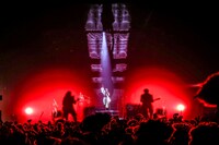 女王蜂（撮影：森好弘）