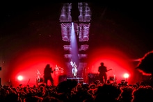 女王蜂（撮影：森好弘）