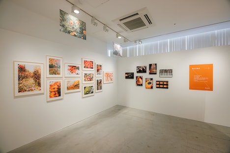 「視点と始点」展示スペースの様子。