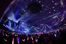 「TrySail 10周年出航ライブ “FlagShip” in 日本武道館」の様子。