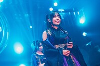 すずめ（撮影：真島洸）