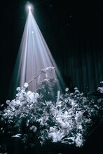 a子（Photo by Goku Noguchi）