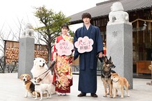 左からビーグルのルビーちゃん、ジャックラッセルテリアのラスカちゃん、グレートピレニーズのトントンちゃん、福本莉子、ジェシー、シェパードのピーヤくん、柴犬の太郎くん。