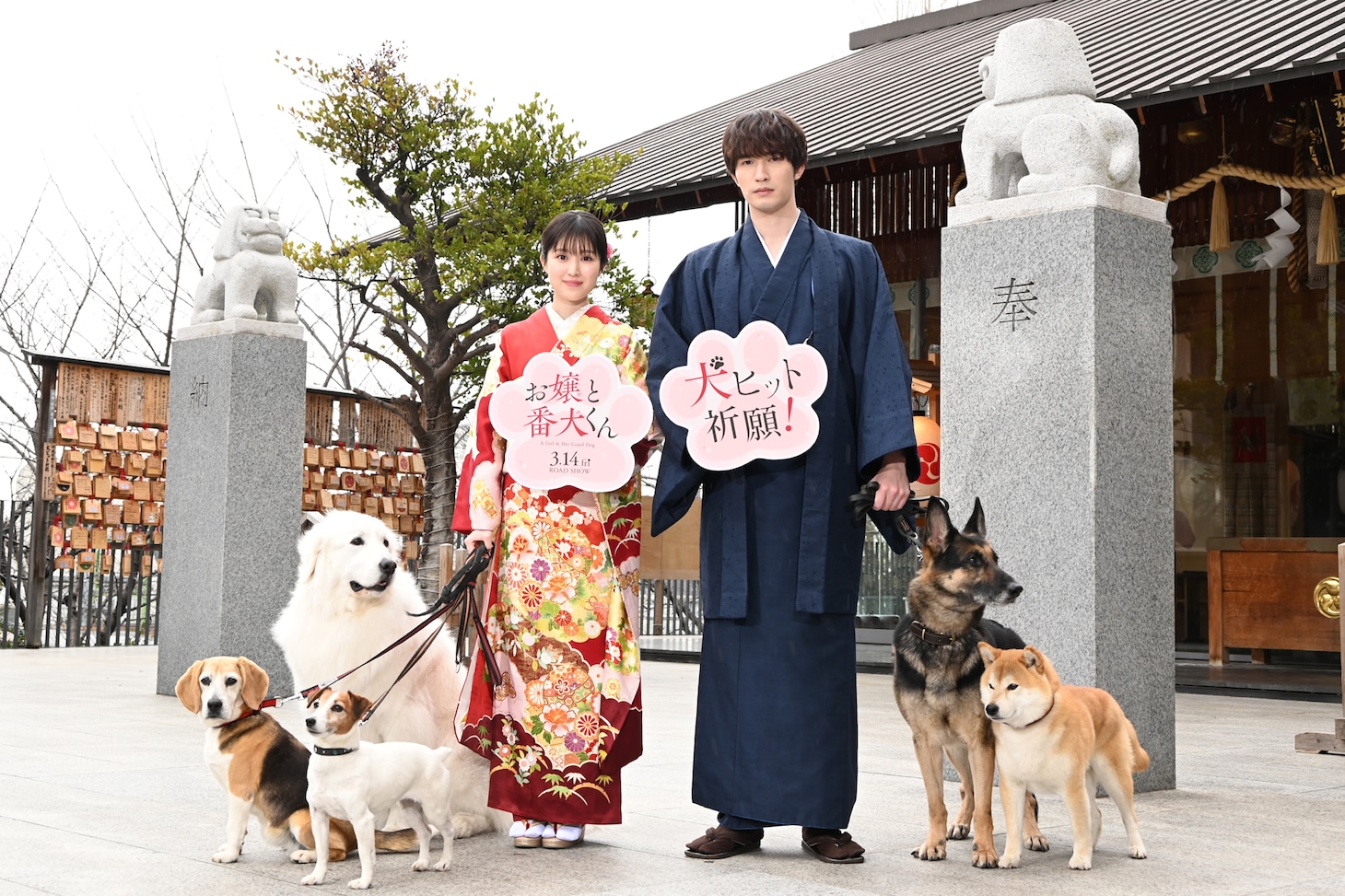 左からビーグルのルビーちゃん、ジャックラッセルテリアのラスカちゃん、グレートピレニーズのトントンちゃん、福本莉子、ジェシー、シェパードのピーヤくん、柴犬の太郎くん。