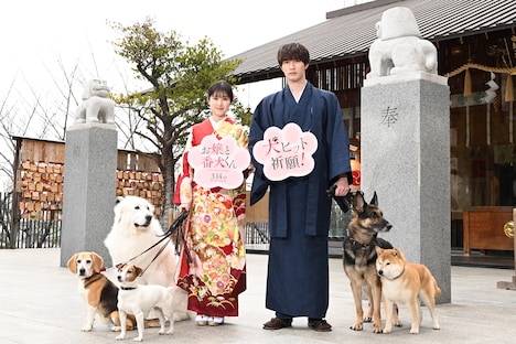 左からビーグルのルビーちゃん、ジャックラッセルテリアのラスカちゃん、グレートピレニーズのトントンちゃん、福本莉子、ジェシー、シェパードのピーヤくん、柴犬の太郎くん。