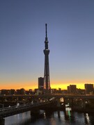 東京スカイツリー（撮影：アフロ）