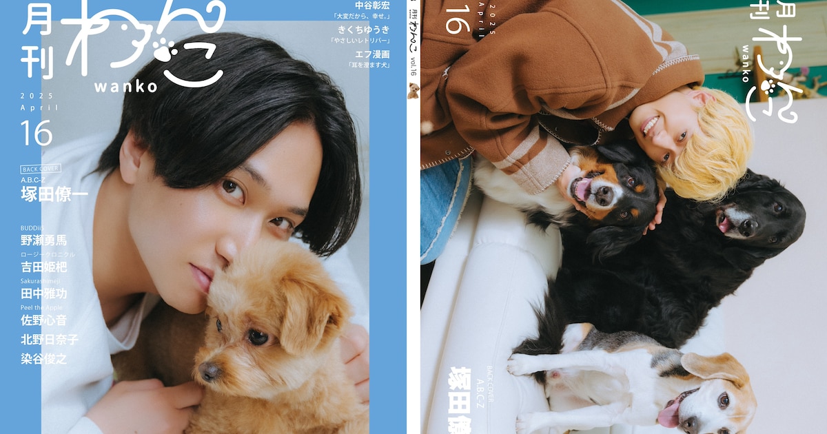 マカロニえんぴつ・はっとり&イタチちゃん「月刊わんこ」表紙に登場、A.B.C-Z塚田僚一と3匹も - 音楽ナタリー
