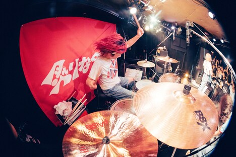 めぐぞう（Dr, Cho）（Photo by toya［@__tpwbo］）