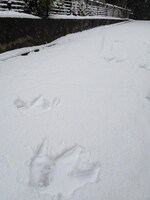 完成までの工程をご想像いただきたい。