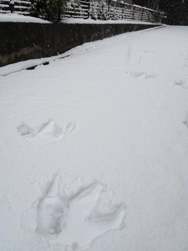 完成までの工程をご想像いただきたい。
