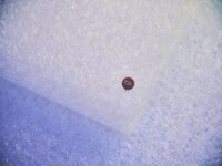 ブレインスリープのマットレス。（Photo by SEIYA FUJII［W］）