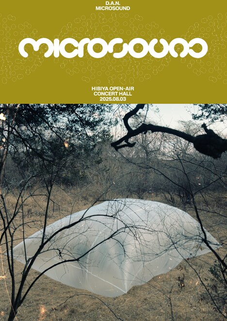 D.A.N.「10th Anniversary Special “Microsound”」フライヤー