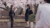 「キリン 午後の紅茶 おいしい無糖」の新テレビCM「春の午後の出会い」編より。