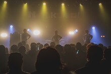 Negicco（Photo by serica）