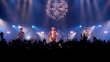 KANA-BOON「シルエット」ライブ映像より。