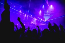 WurtS（撮影：渡邉一生）