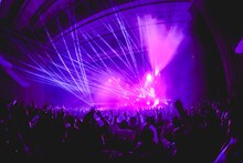 WurtS（撮影：渡邉一生）