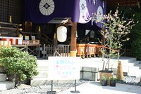 東京大神宮の境内。