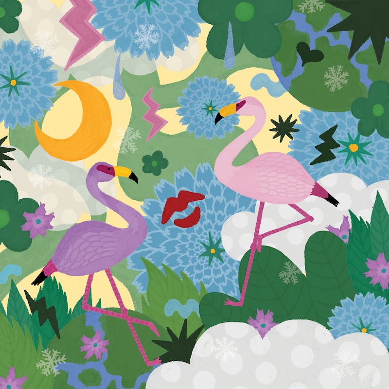 朝日美穂「フラミンゴ・コスモス」ジャケット