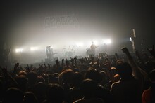 SHANK（撮影：橋本塁）