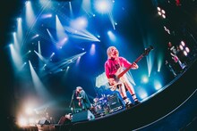 ヤバイTシャツ屋さん（撮影：イノコシゼンタ）