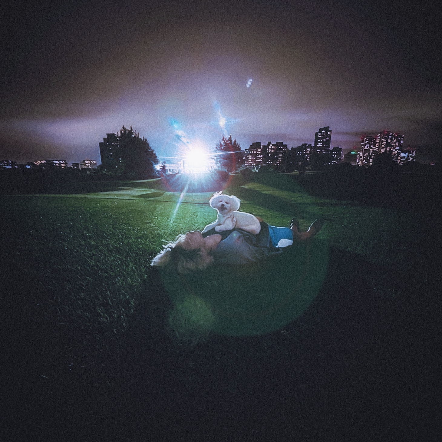 ほむらよしかず