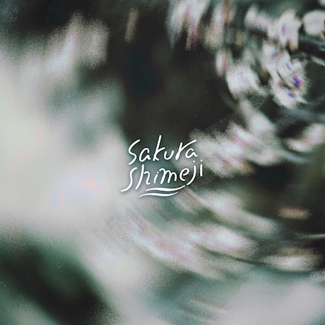 Sakurashimeji「春が鳴った」配信ジャケット