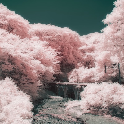 天々高々「がたんごとん」配信ジャケット