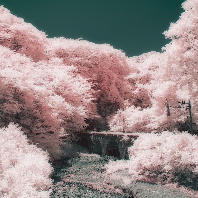 天々高々「がたんごとん」配信ジャケット