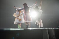 花道を駆けるココユノノカ。