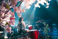 「berry meet ONEMAN LIVE 2025 SPRING『花だより』」の様子。（撮影：タチバナジン）