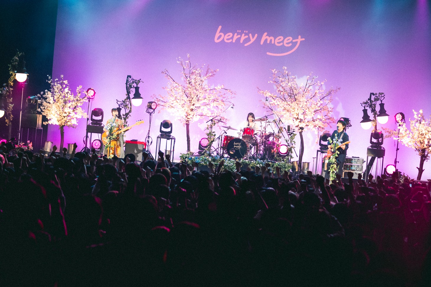 「berry meet ONEMAN LIVE 2025 SPRING『花だより』」の様子。（撮影：タチバナジン）