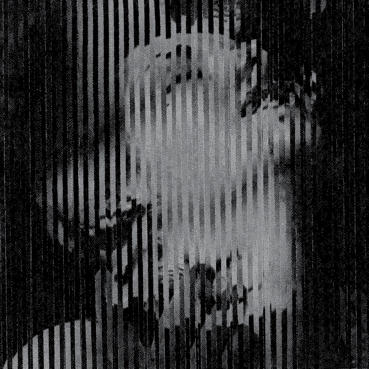 Sex Virgin Killerがスイス、チリ、アメリカのレーベルから3カ月連続