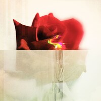 神はサイコロを振らない「Lovey Dovey」配信ジャケット