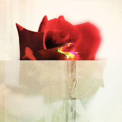 神はサイコロを振らない「Lovey Dovey」配信ジャケット