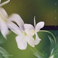 Omoinotake「ひとりごと」配信ジャケット