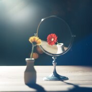 あたらよ「忘愛」配信ジャケット