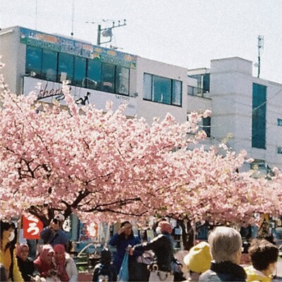 工藤祐次郎「葬儀屋の娘」ジャケット