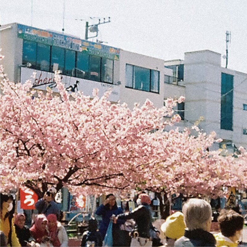 工藤祐次郎「葬儀屋の娘」ジャケット