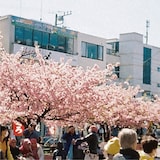 工藤祐次郎「葬儀屋の娘」ジャケット