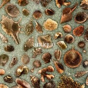 おいしくるメロンパン「antique」初回限定盤ジャケット