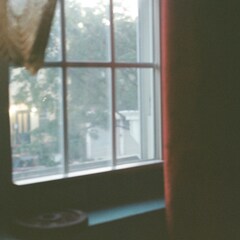 離婚伝説、今晩放送開始のドラマ「対岸の家事」主題歌配信リリース決定